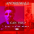 ANDREWALI feat. P-Djee Money