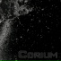 Corium
