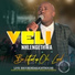 Veli Nhlengethwa