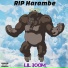 Lil Boom