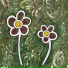 Defne Dilek