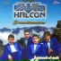Grupo Halcon