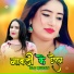 Star Irfan Pahat, Sahin Khan Mewati, Mewati Gaane