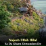 Najeeb Ullah Hilal