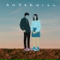 Anderwill