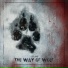Mr.Wolf