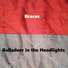 Balladeer in the Headlights