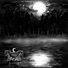 Night Reflections