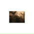 Mindfulness Healing Sleep BGM Project