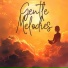 Symphony Orchestra Meditation And Relaxation