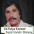 Sajid Haidri Malang
