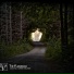 The Flashbulb