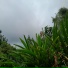 Aliennista