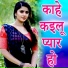 Vikash Tiger Bihari