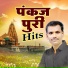Pankaj Puri