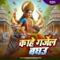 Ramashankar Ray