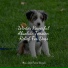 Calm Doggy, Dog Music Club, Music for Pets Library