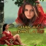 Pamela Jain, Kashan Zaidi