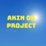 Akın Ok