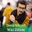 Omid Nikzad