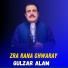 Gulzar Alam