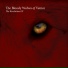 The Bloody Wolves of Venice