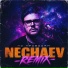 NECHAEV
