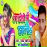 Akhilesh Aryan
