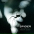 NCM Epic Music Ender Guney