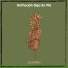 Jamp91
