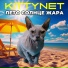 Kittynet