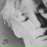 LEO [ 레오 ]