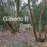 Gilberto B