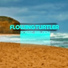FlowingTurtler