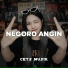 Cets Musik