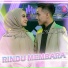 Selvi Ayunda feat. Anas Fikry