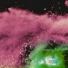 M Lisa