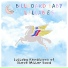 Billboard Baby Lullabies
