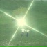 Lh