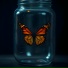 Insanis