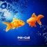 Pèl De Gall