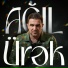 Talıb Tale