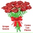 Grupo Gosen
