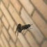 Михаил Соловов