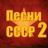 Владимир Касторский