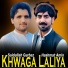 Saidullah Gurbaz, Hashmat Amin
