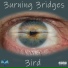 3ird