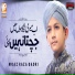 Moaz Raza Qadri
