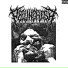 PeelingFlesh feat. Kirill Zarubin, Traumatomy