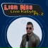 Lion Nes